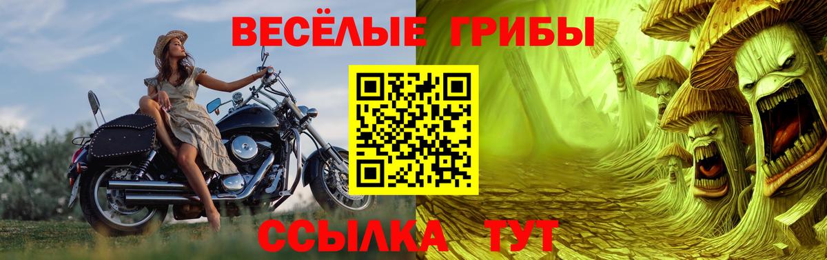 Галлюциногенные грибы мицелий Дубна