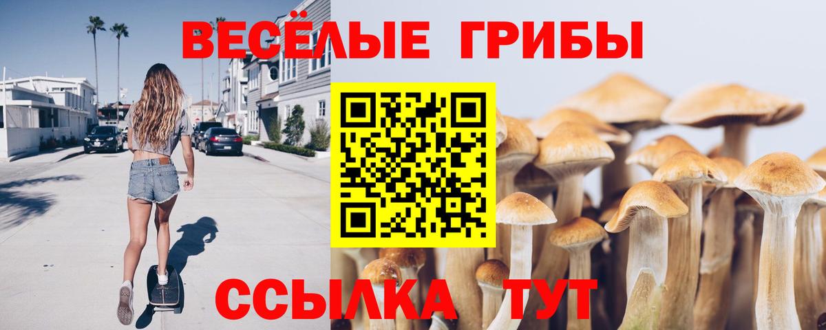 Галлюциногенные грибы Cubensis  Вход с VPN  как найти наркотики  Дубна  Псилоцибиновые грибы ЛСД 